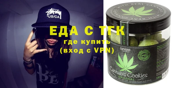 индика Анжеро-Судженск