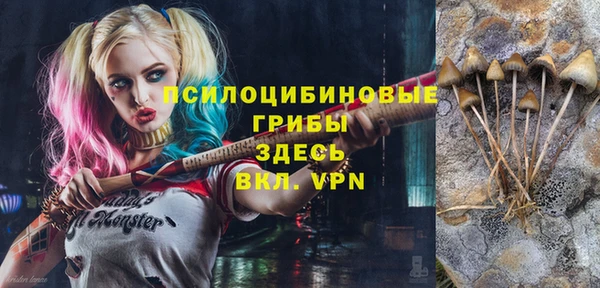 а пвп мука Армянск