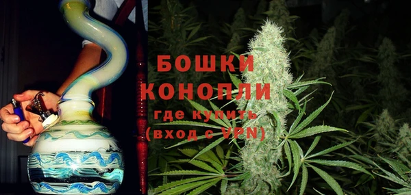 крисы Анива