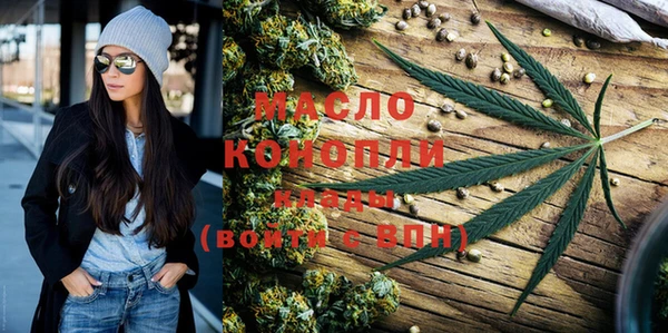 индика Анжеро-Судженск