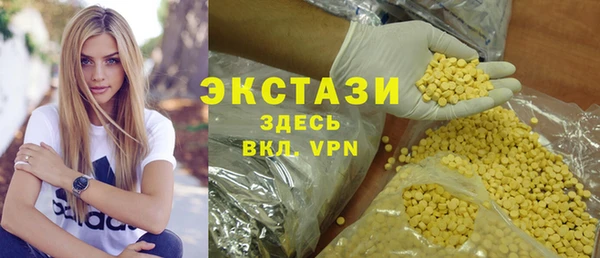 индика Анжеро-Судженск