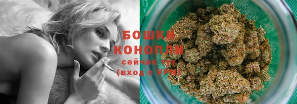 индика Анжеро-Судженск