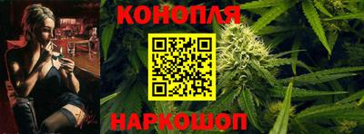 mdpv Гатчина