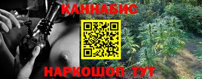 mdpv Гатчина