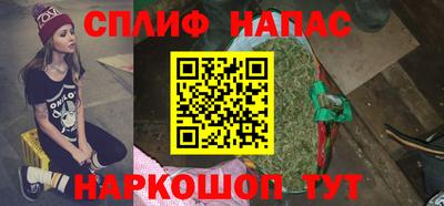 mdpv Гатчина