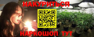 mdpv Гатчина