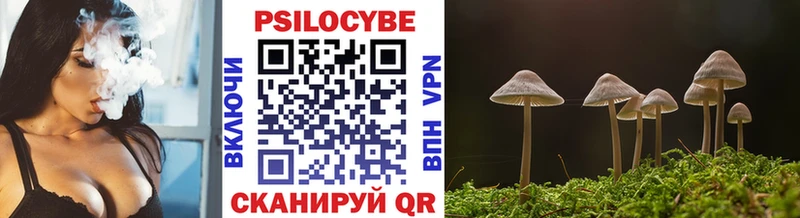 Галлюциногенные грибы мицелий  купить закладку  Белорецк 