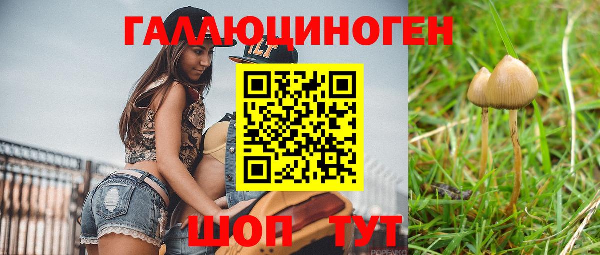 Псилоцибиновые грибы ЛСД Белорецк